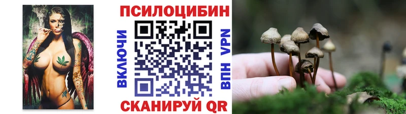 ссылка на мегу как зайти  Кирс  Галлюциногенные грибы MAGIC MUSHROOMS 